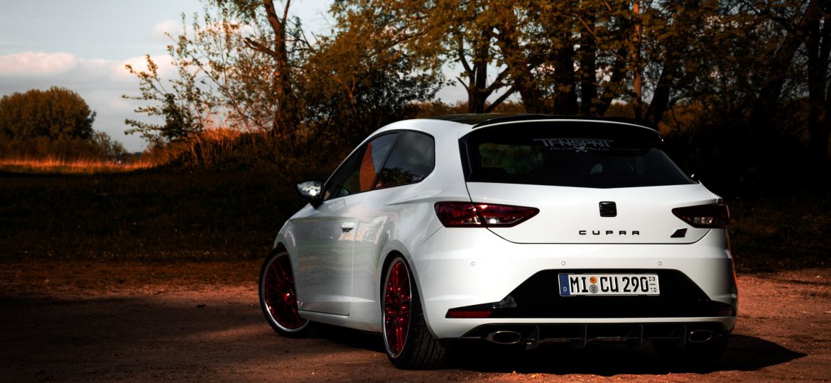 Busted_Seat_Leon_2020_07