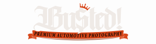 bustedpictures.com